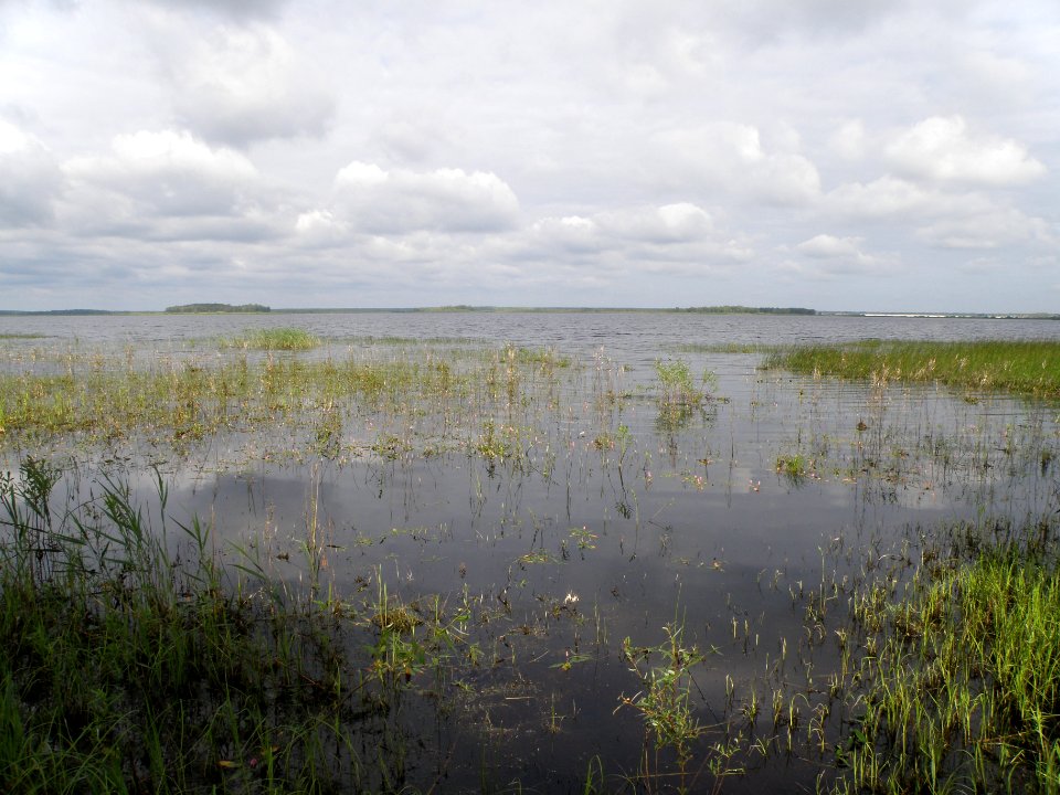 Svyatoe Lake (Vladimir Oblast)