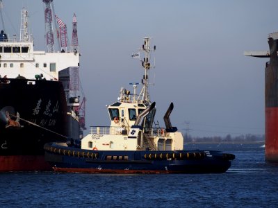 Svitzer Titan (tugboat, 2017) IMO 9780055, Amerikahaven, Port of Amsterdam