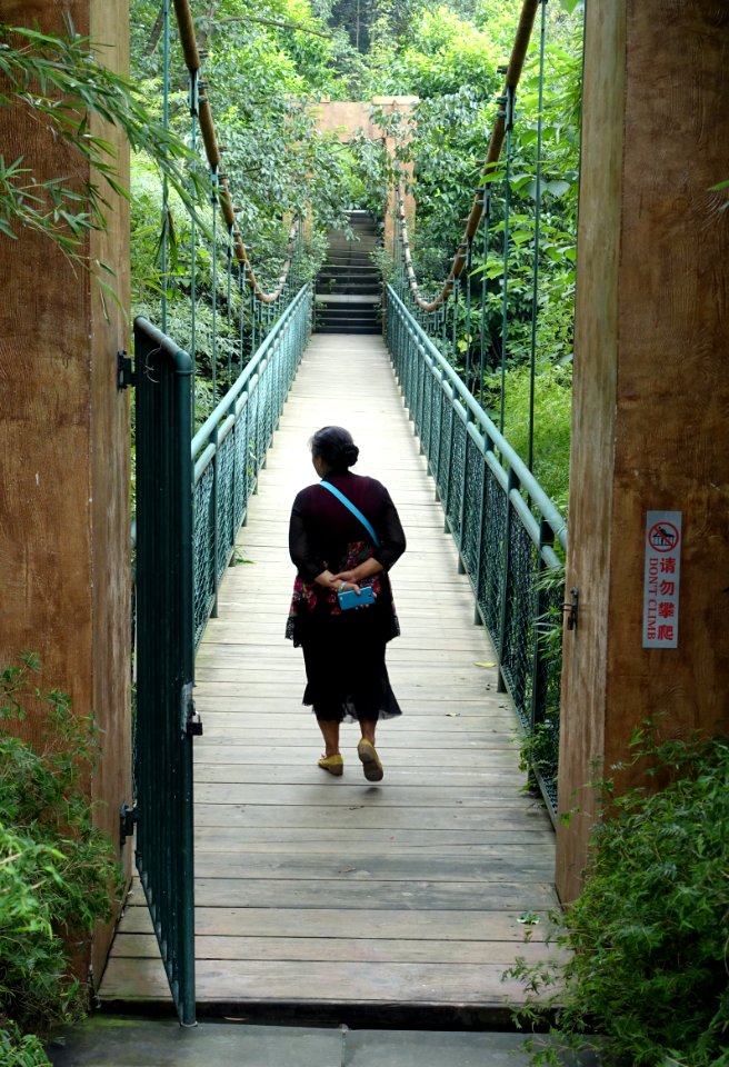 Suspension bridge - Chengdu Botanical Garden - Chengdu, China - DSC03429
