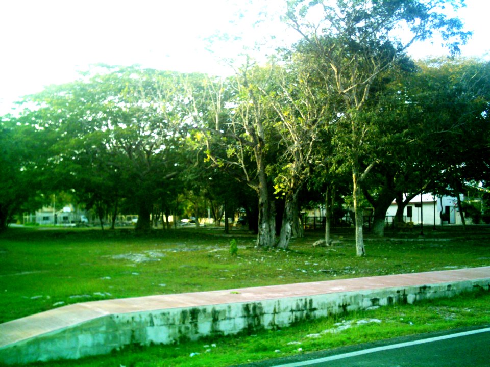 Suytunchén (Mérida), Yucatán (03)