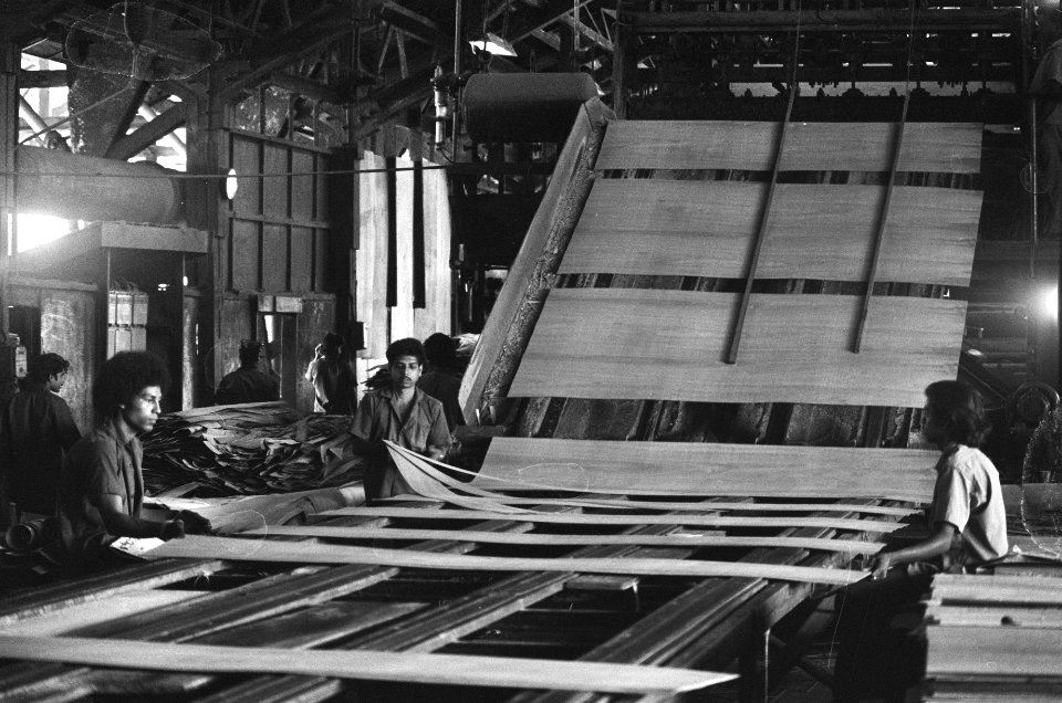 Suriname, bedrijven houtmaatschappij Bruynzeel, arbeider aan het werk, Bestanddeelnr 927-8455