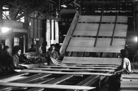 Suriname, bedrijven houtmaatschappij Bruynzeel, arbeider aan het werk, Bestanddeelnr 927-8455