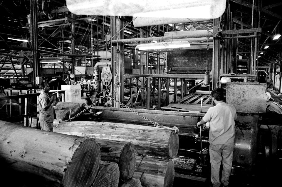 Suriname, bedrijven houtmaatschappij Bruynzeel, arbeider aan het werk, Bestanddeelnr 927-8456
