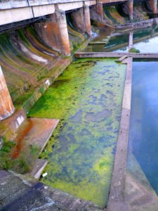Suzana - Represa del Ebro 6