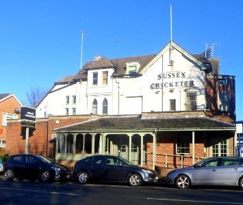 Sussex Cricketer pub, Eaton Road, Hove (18 January 2020 - Penultimate Day) (11)