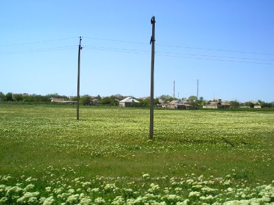 Svetloe 8