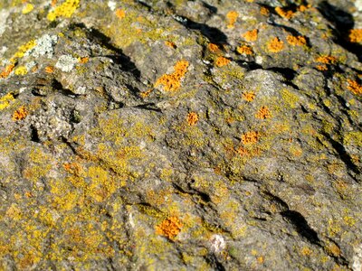 Background structure texture
