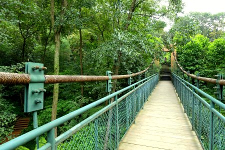 Suspension bridge - Chengdu Botanical Garden - Chengdu, China - DSC03436
