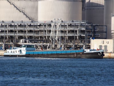 Svero (ship, 1949) - ENI 02204470, Port of Antwerp photo