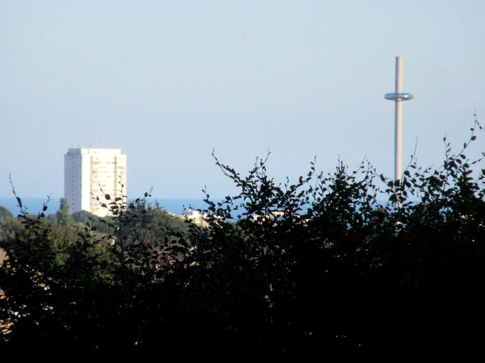 Sussex Heights and i360, Brighton (seen from Three Cornered Copse, Hove) (August 2016) (1)