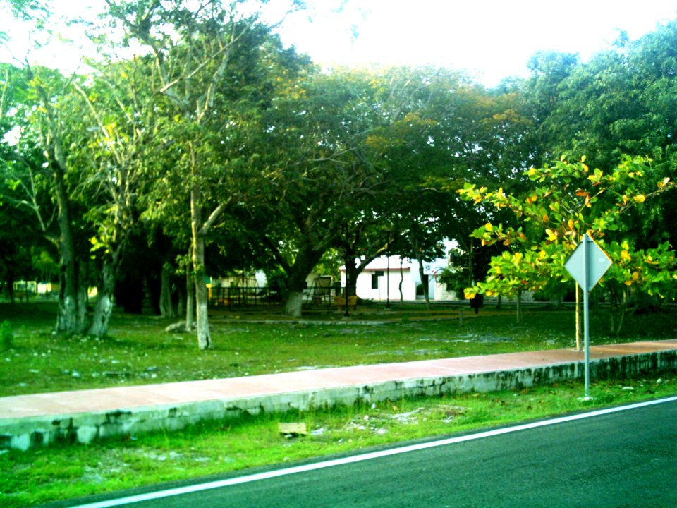 Suytunchén (Mérida), Yucatán (04)