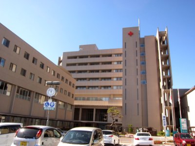 Suwa Red Cross Hospital