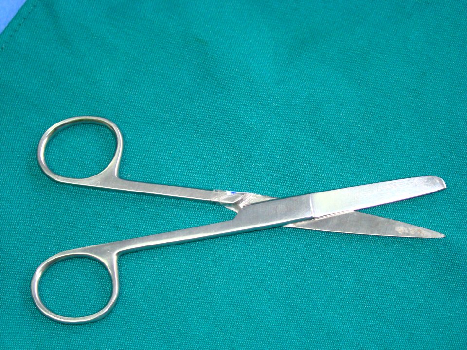 Surgical scissors 05