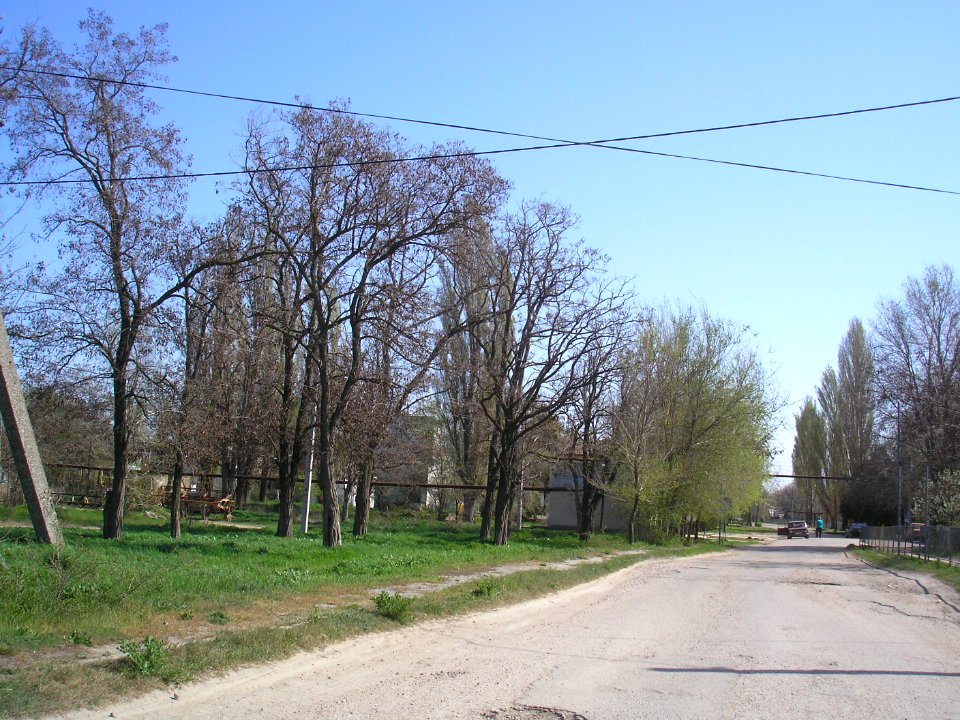 SuvorovoArm 11