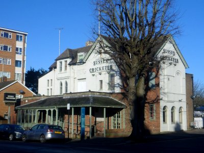 Sussex Cricketer pub, Eaton Road, Hove (18 January 2020 - Penultimate Day) (9)
