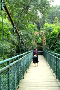 Suspension bridge - Chengdu Botanical Garden - Chengdu, China - DSC03431