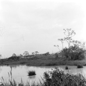 Suriname, Bauxietmijn Billiton (afgegraven, ondergelopen), Bestanddeelnr 920-3682