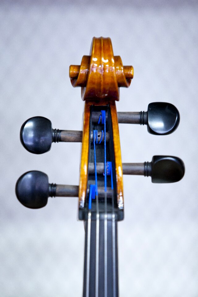 Ensemble played hobby