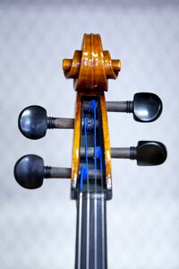 Ensemble played hobby