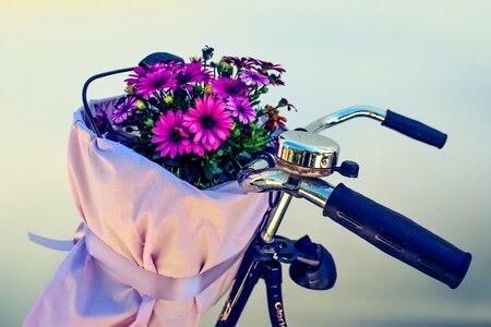 Bike vintage retro