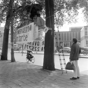 Student op plateau in boom op Frederiksplein (in kader kamers voor studenten), Bestanddeelnr 918-2324