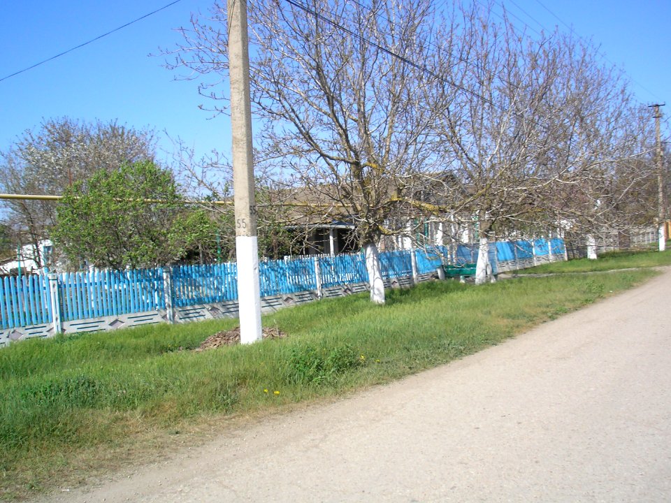 SuvorovoArm 19