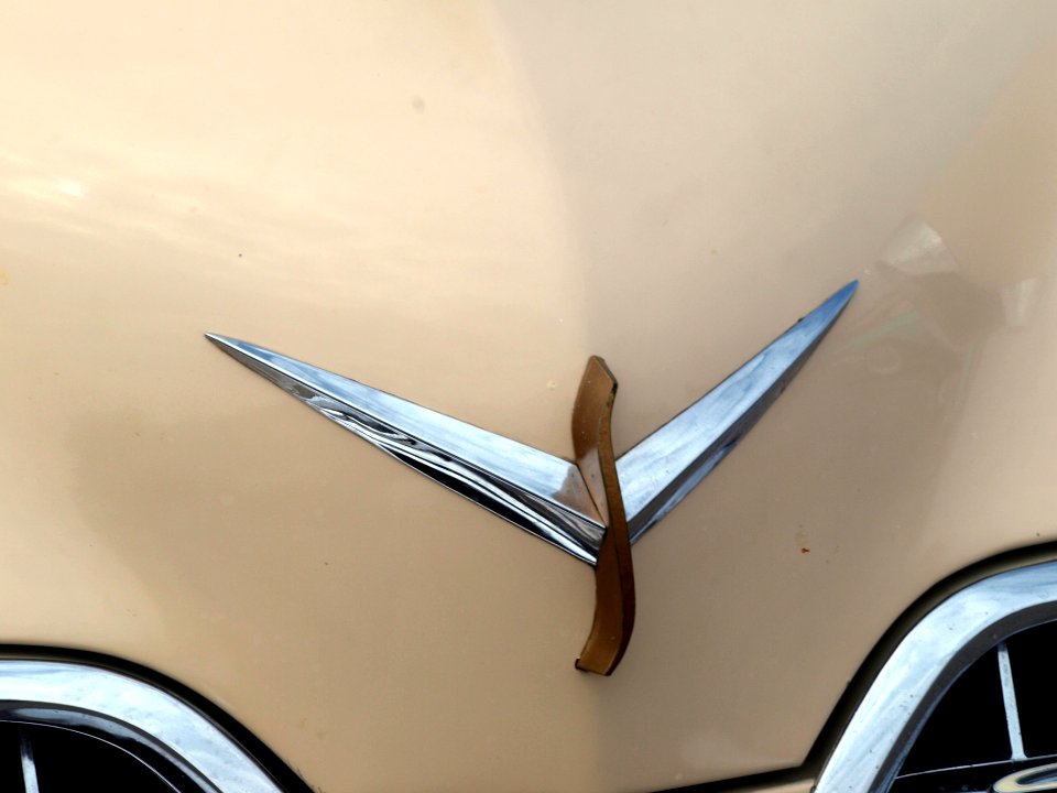 Studebaker Champion, Dutch licence registration AM-41-52 pic06
