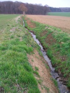 Stuhlgraben von erstem Weg zu Hochsitz