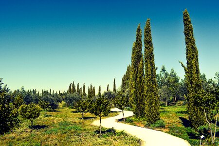 Cyherbia botanical gardens and maze attraction