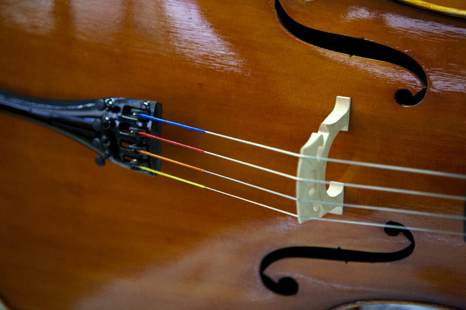 Ensemble played hobby