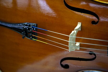 Ensemble played hobby