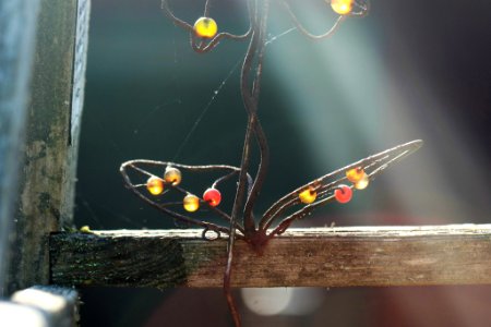 Study In Light (178512825)