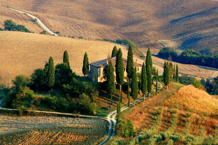 Tuscany landscape cypress