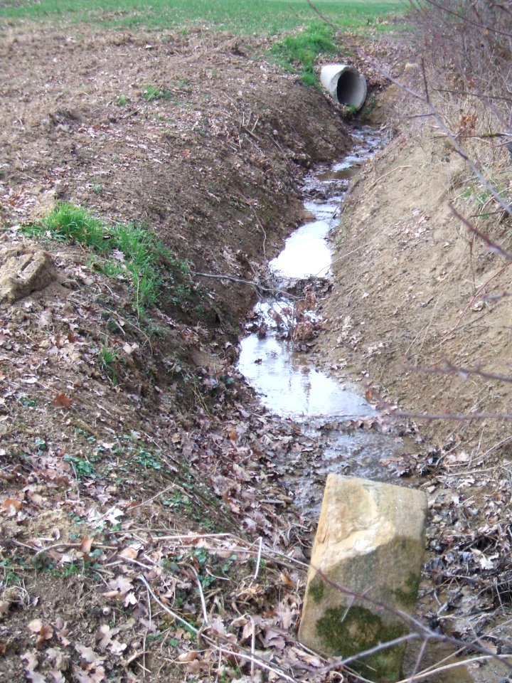 Stuhlgraben am Waldrand zu KH