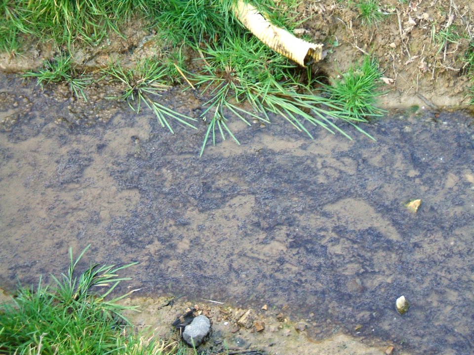 Stuhlgraben Dränage