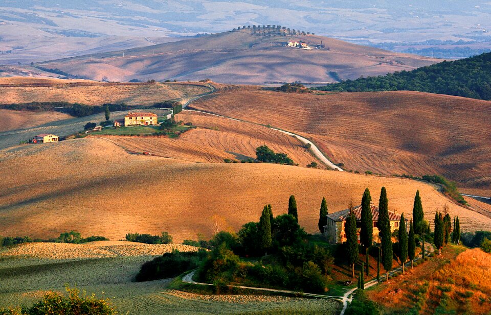 Tuscany landscape cypress