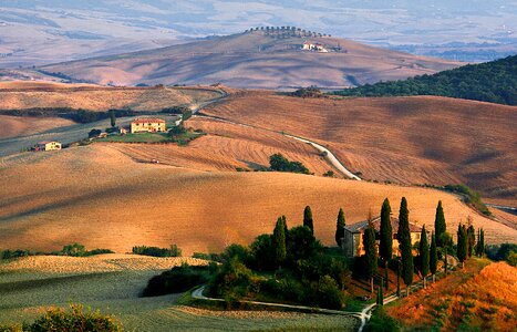 Tuscany landscape cypress photo