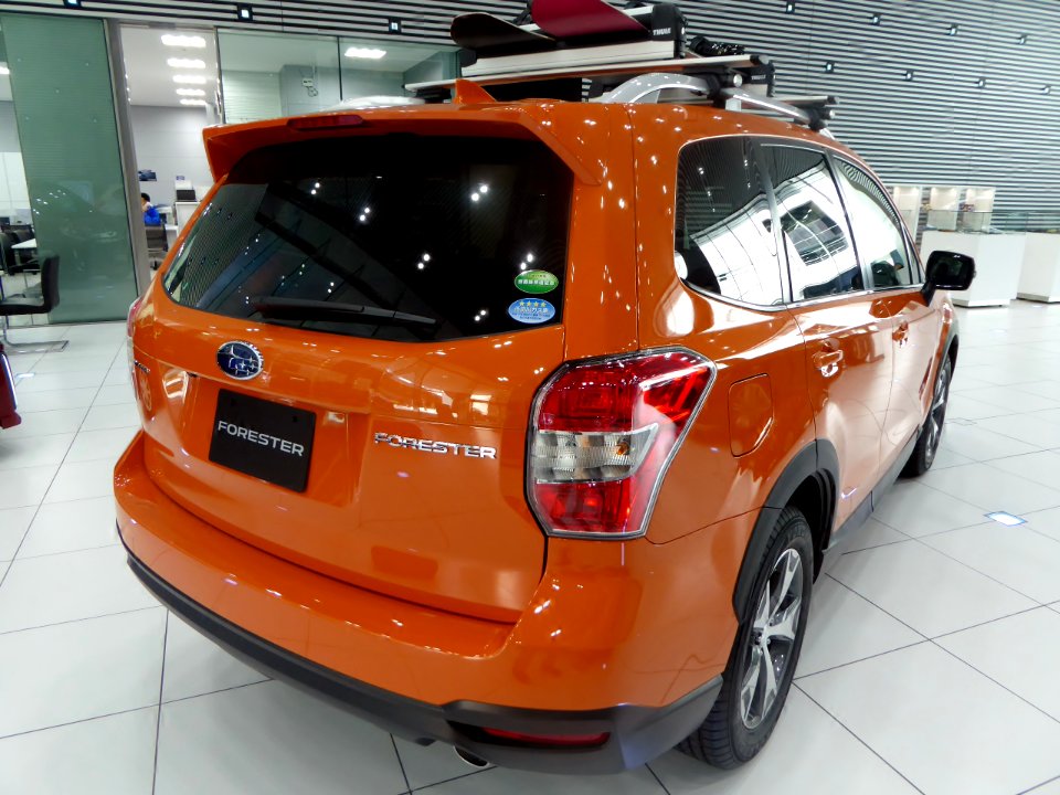 Subaru FORESTER X-BREAK (DBA-SJ5) rear