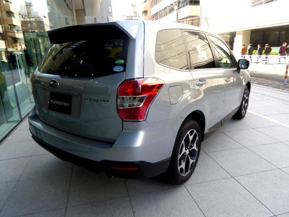 Subaru FORESTER S-Limited (DBA-SJ5) rear