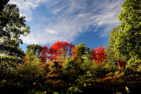 Nature landscape autumn photo