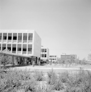 Studenten op de campus van de Hebrew University in Jeruzalem, Bestanddeelnr 255-2416