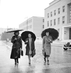 Studenten met paraplu's in de regen in de universiteitswijk Città Universitaria , Bestanddeelnr 191-1341