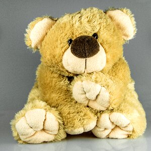 Bear children's play