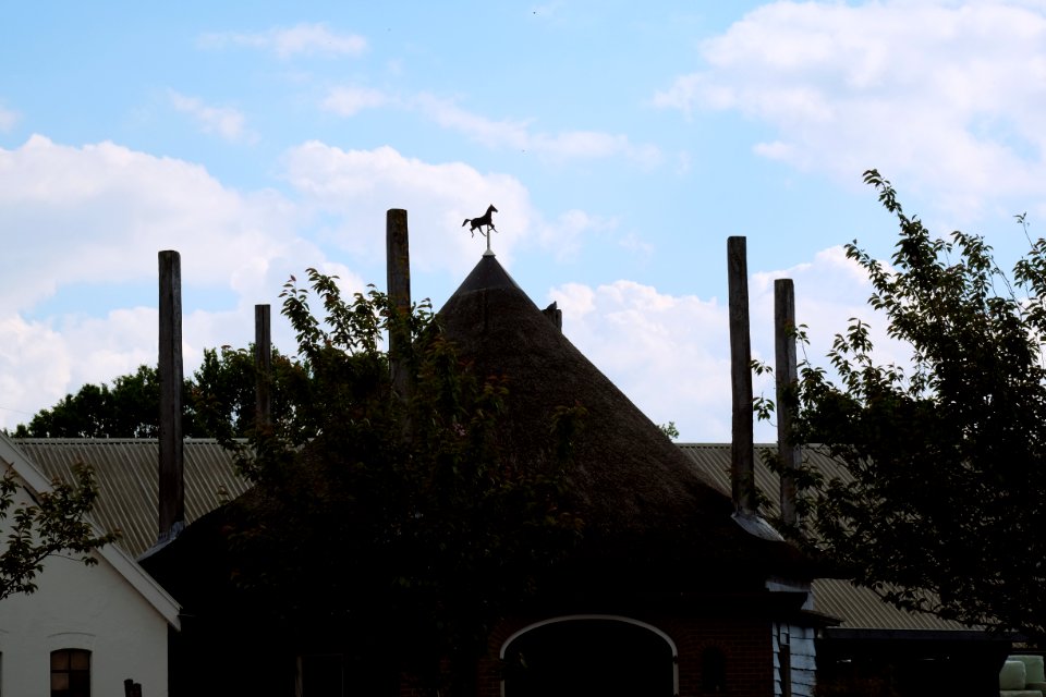 Stud farm in Bemmel