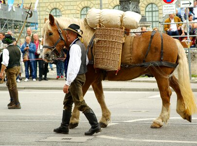 Horse farmer peasantry