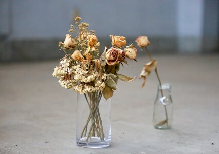 Vase dry flower glass bottles photo