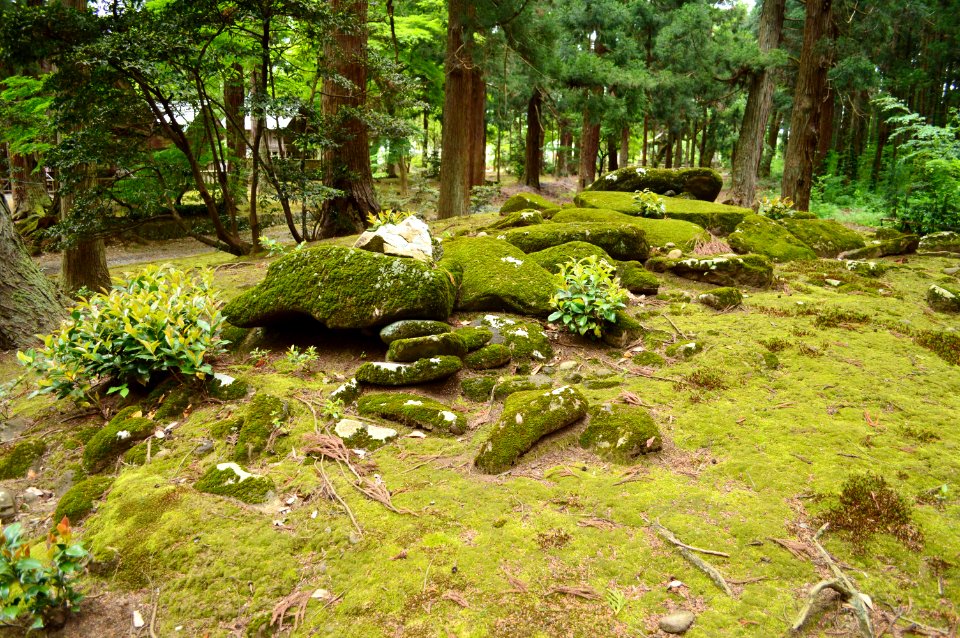Sugawara Kofun, sekishitsu