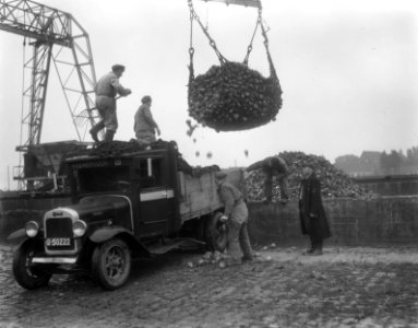 Suikerbietencampagne begonnen. Halfweg, Bestanddeelnr 904-2203
