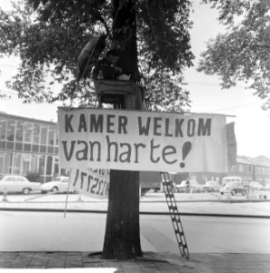 Student op plateau in boom op Frederiksplein (in kader kamers voor studenten), s, Bestanddeelnr 918-2322