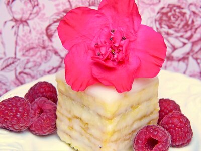 Raspberries azalea blossom photo